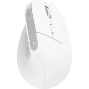 Trust Bayo+ Ergonomic Wireless/Bluetooth White (25399) (UA)