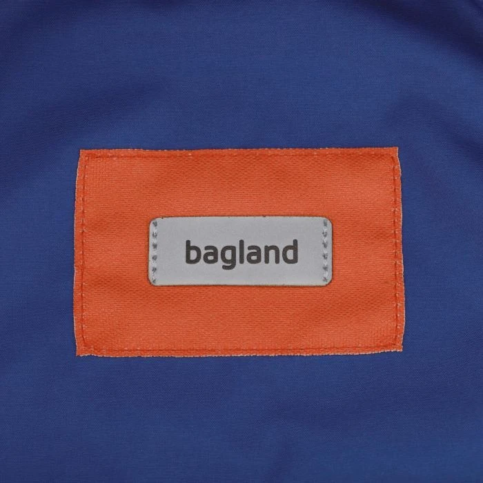 Рюкзак для ноутбука Bagland 15.6 Stylish L 24L electric 0051869 (1119120722) (UA) ; Об'єм: 24 л; Вага: 0.55 кг;