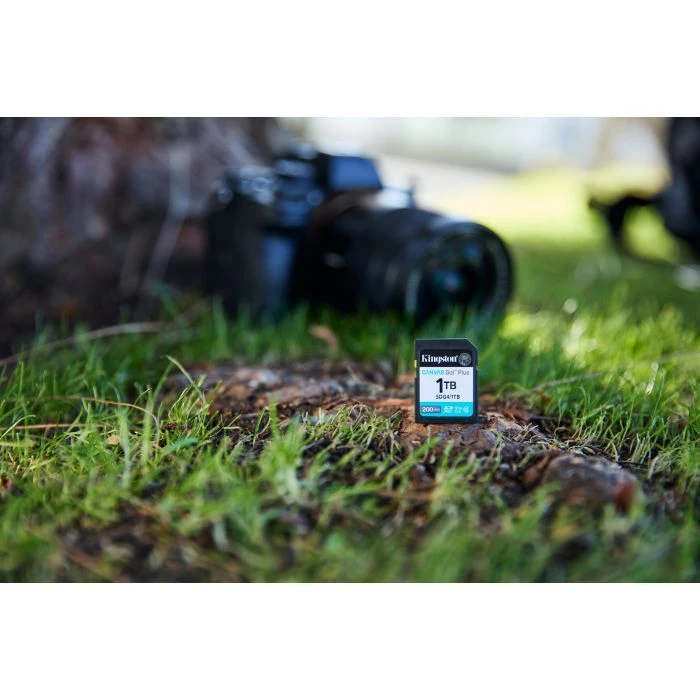 Kingston 256GB SDXC сlass 10 UHS-I U3 V30 Canvas Go Plus G4 (SDG4/256GB) (UA)