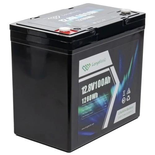 Longttech LiFePo4 12.8V 100 Ah (LAR12100-G22NF-P) (UA)