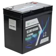 Longttech LiFePo4 12.8V 100 Ah (LAR12100-G22NF-P) (UA)
