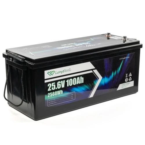 Longttech LiFePo4 24V 100 Ah (LAR24100-LT160-P) (UA)