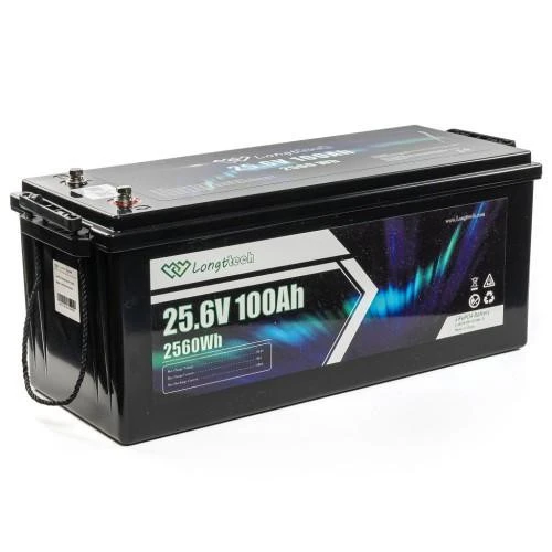 Longttech LiFePo4 24V 100 Ah (LAR24100-LT160-P) (UA)