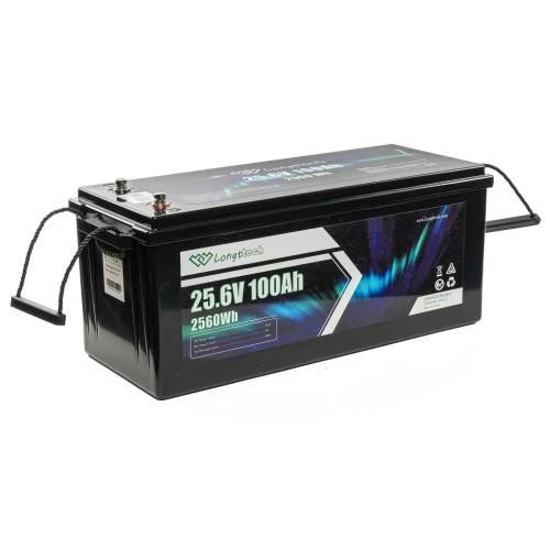 Longttech LiFePo4 24V 100 Ah (LAR24100-LT160-P) (UA)