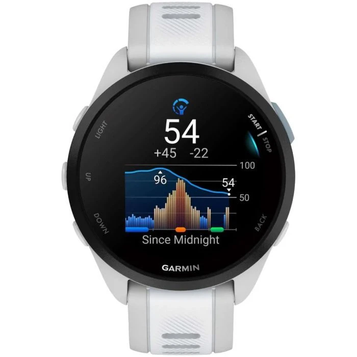 Смарт-часы Garmin Forerunner 165, GPS, Mist Grey/Whitestone, GPS (010-02863-21) (UA)
