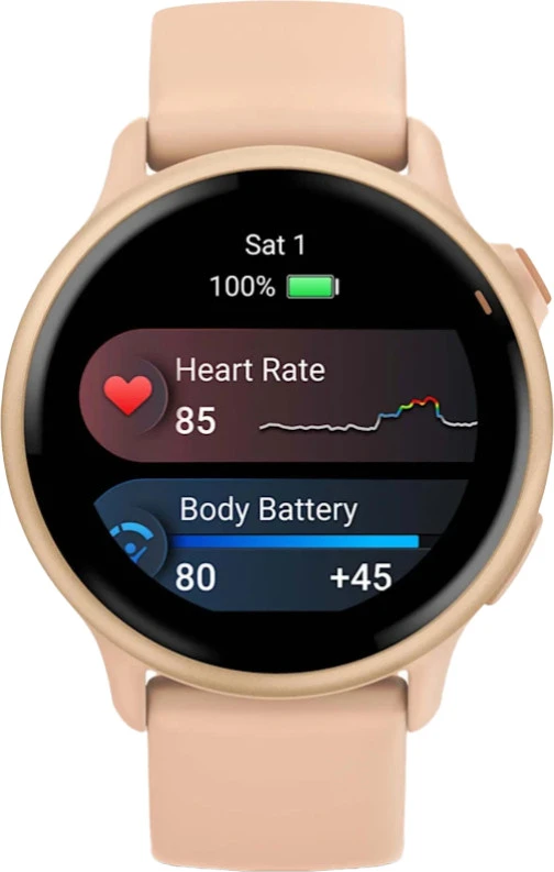 Garmin Vivoactive 6 Metallic Pink Dawn with Pink Dawn Band (010-02985-03)