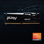 Kingston FURY 32 GB DDR5 5600 MHz Beast Black RGB EXPO (KF556C36BBE2A-32) (UA)