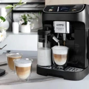 Delonghi Magnifica Plus ECAM 320.60.B (EU)