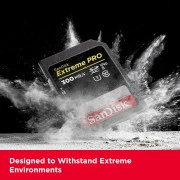 SanDisk SD 256GB C10 UHS-II (SDSDXDM-256G-GN4IN) (UA)