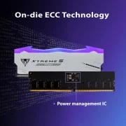 PATRIOT 32 GB (2x16GB) DDR5 6000 MHz Viper Xtreme 5 RGB MPower (PVXR532G60C30KM) (UA)