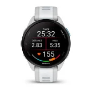 Garmin Forerunner 165 Mist Gray/Whitestone (010-02863-AD)