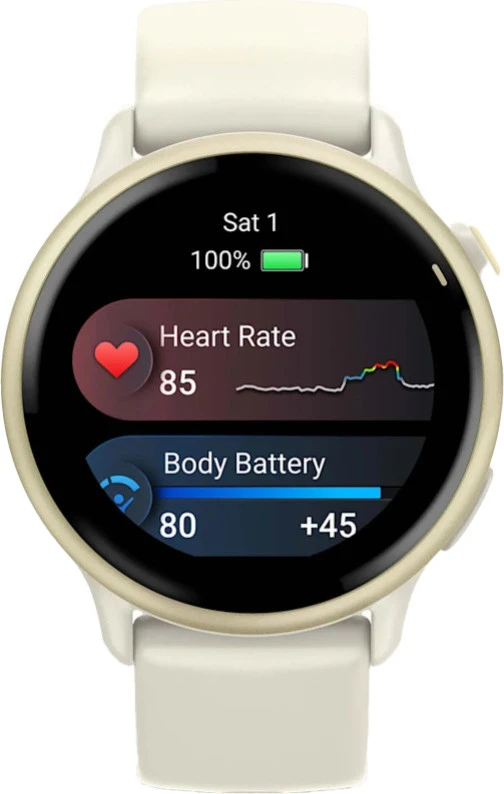 Смарт-часы Garmin Vivoactive 6 Lunar Gold with Bone Band (010-02985-01)