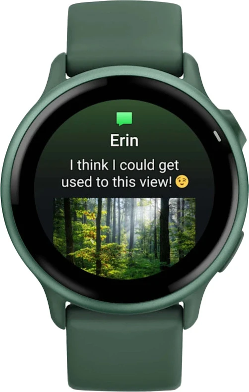 Смарт-часы Garmin Vivoactive 6 Metallic Jasper Green with Jasper Green Band (010-02985-02/42)