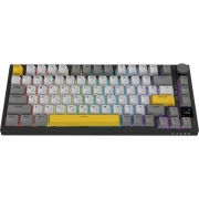 Ajazz AK820 Pro Flying Fish Switch Black RGB USB/Wireless/Bluetooth UA Black (AK820PRO-FF-BGY) (UA)