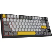 Ajazz AK820 Pro Flying Fish Switch Black RGB USB/Wireless/Bluetooth UA Black (AK820PRO-FF-BGY) (UA)