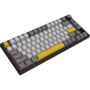 Ajazz AK820 Pro Flying Fish Switch Black RGB USB/Wireless/Bluetooth UA Black (AK820PRO-FF-BGY) (UA)