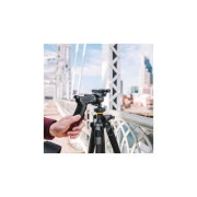 Vanguard Alta Pro 2+ 263AGH (DAS302030) (UA)