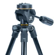 Vanguard Vesta 203AP (DAS301563) (UA)