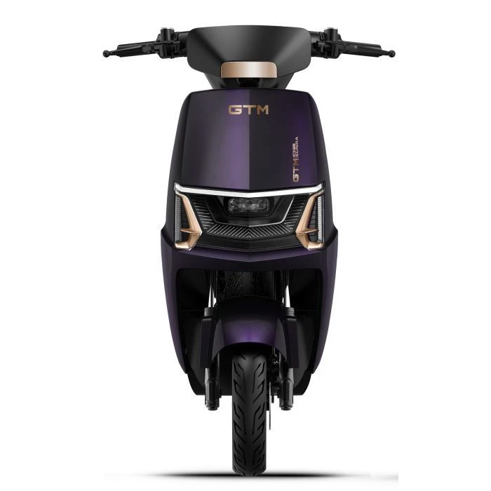 Електроскутер GTM Volt 1500 Wat (83816) (UA) ; Діаметр коліс: 10; Максимальна