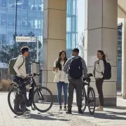 Рюкзак для ноутбука Thule 14