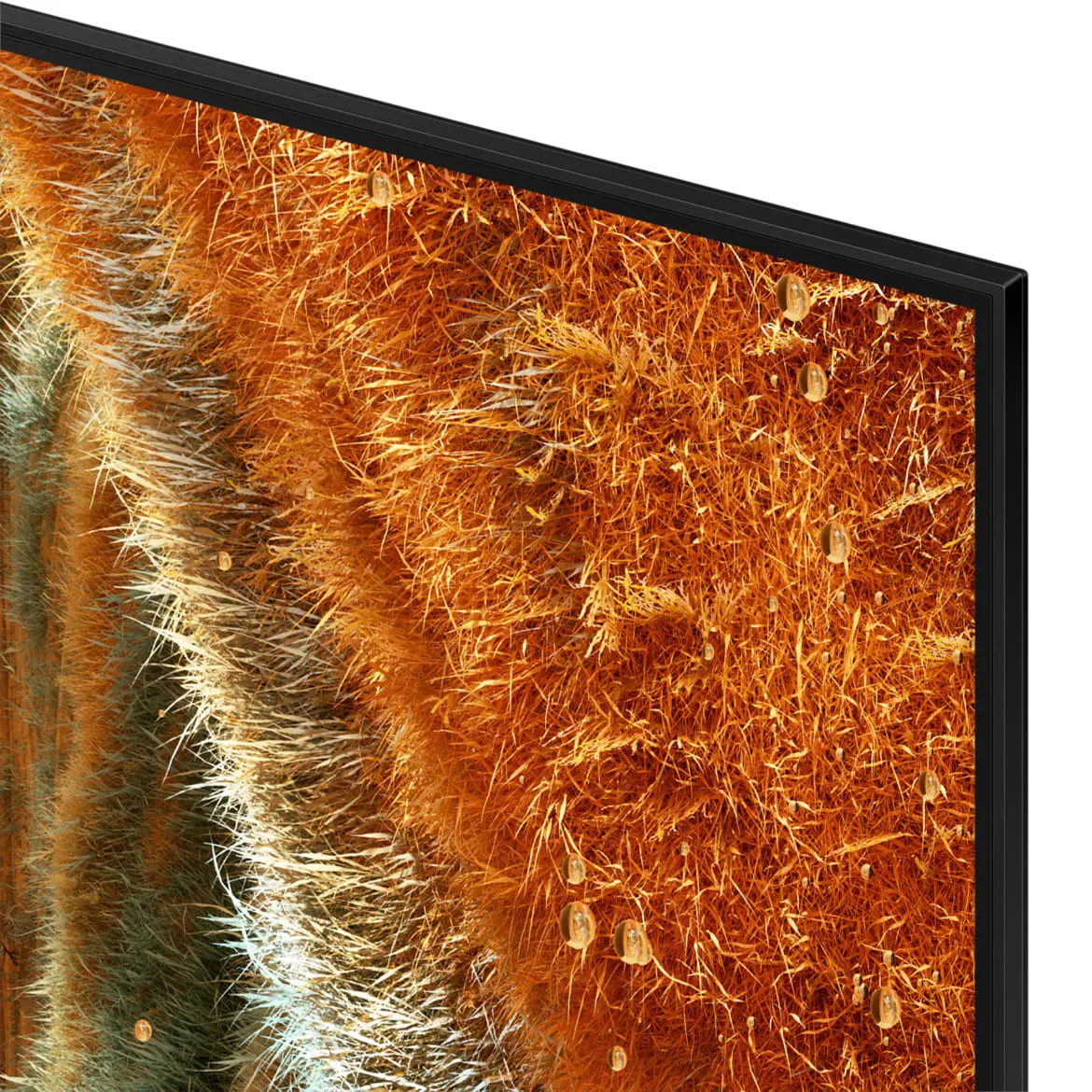 Samsung QE65QN70F