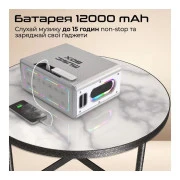HiFuture MusicBox 100W Silver (musicbox.silver) (UA)
