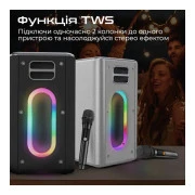 HiFuture MusicBox 100W Silver (musicbox.silver) (UA)
