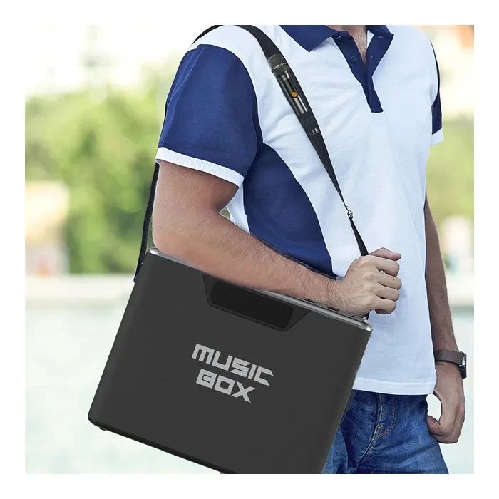 HiFuture MusicBox 100W Silver (musicbox.silver) (UA)