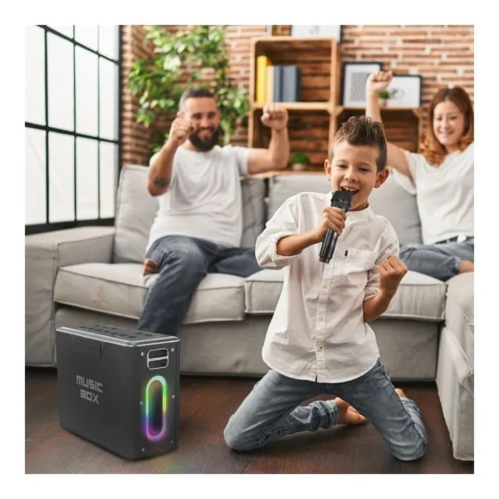 HiFuture MusicBox 100W Silver (musicbox.silver) (UA)