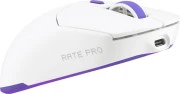 Proove Rate Pro White (WMRP00022002)