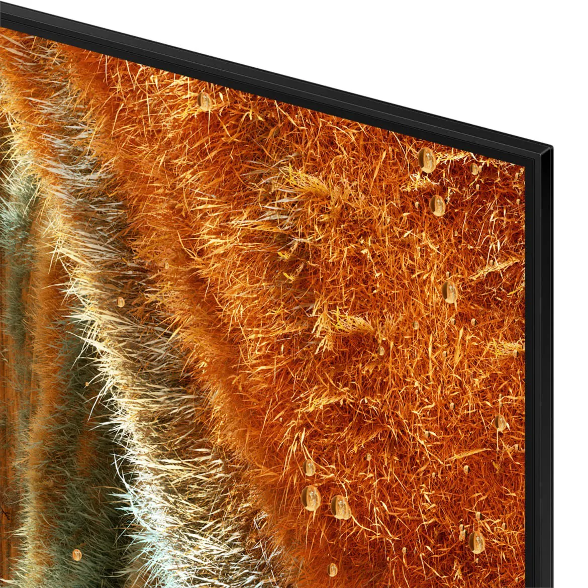 Samsung QE75QN77F