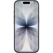 Apple iPhone 17 256GB Black (MG6J4)