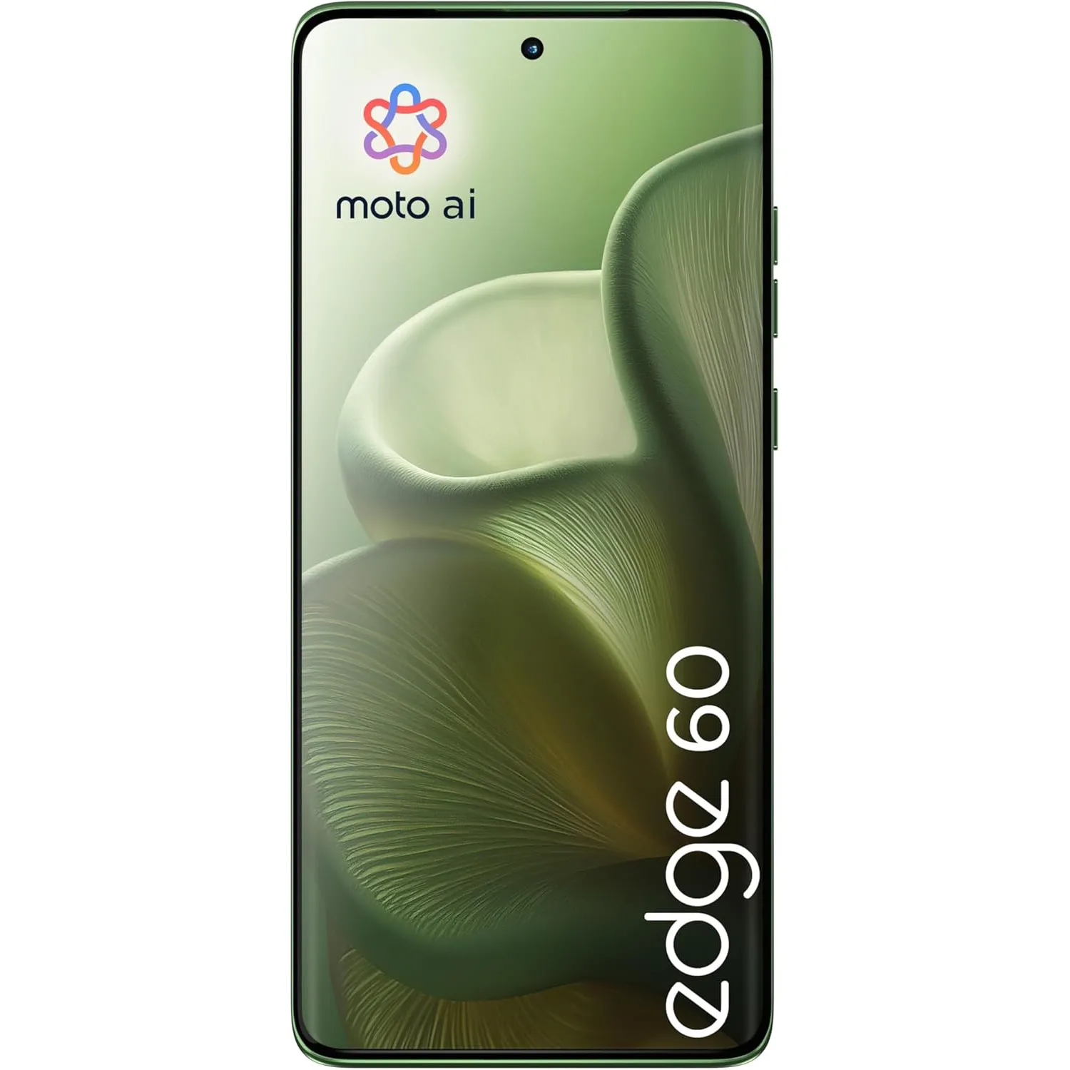 Motorola Moto Edge 60 12/256GB Shamrock (PB7H0032RS) (UA) Дисплей: 6.67 / OLED (2712x1220 точек)