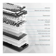 Ajazz AK820 MAX Flying Fish Switch RGB Wireless/Bluetooth/USB Beige (AK820MAX-FF-R) (UA)