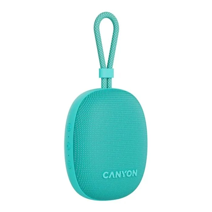Canyon OnMove 12 Mint (CNE-CBTSP12MT) (UA) ; Підключення: бездротове;