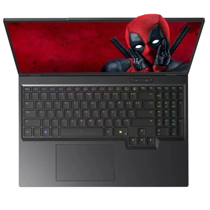 Dream Machines RT5090-16 (RT5090-16UA31) (UA) ; Тип ноутбука: для работы и