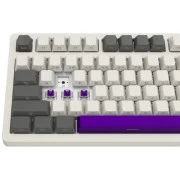 Lorgar KBP70TKLW Wireless TKL Mechanical Pro UA Beige (LRG-KBP70TKLW-RT-US) (UA)