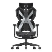 Sihoo X5C Mesh Black (X5C-301) (UA)