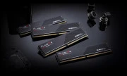 G.Skill 32 GB (2x16GB) DDR5 6000 MHz Flare X5 (F5-6000J2836G16GX2-FX5 ) (UA)