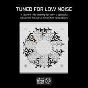 Corsair 850W RM850e (CP-9020293-EU) (UA)