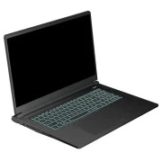 Thunderobot 911 X17 (911X17-i7136H56C1Q165MBD) (UA)