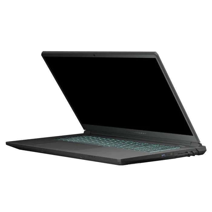 Thunderobot 911 X17 (911X17-i7136H56C1Q165MBD) (UA)