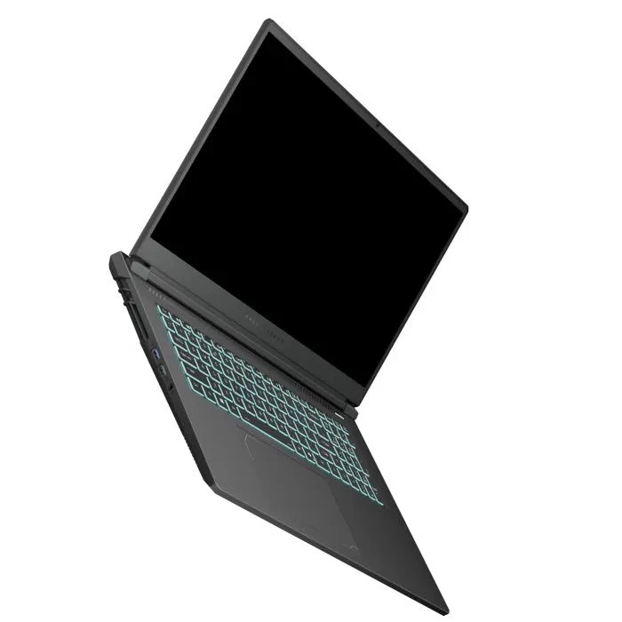 Thunderobot 911 X17 (911X17-i7136H56C1Q165MBD) (UA) ; Тип ноутбука: игровой;