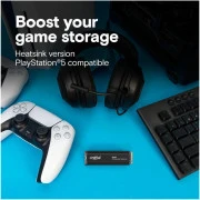 Crucial P310 1 TB (CT1000P310SSD5)