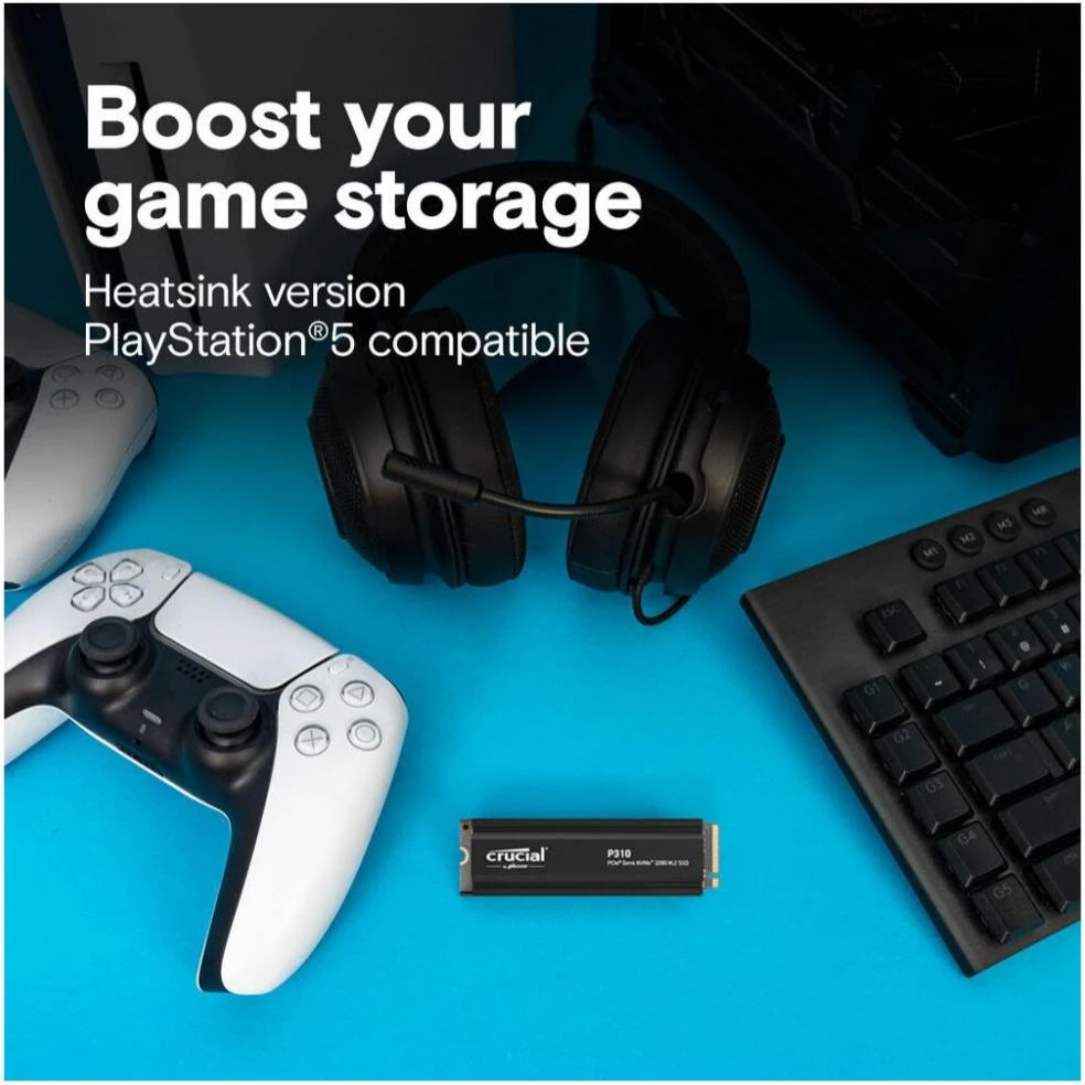 Crucial P310 1 TB (CT1000P310SSD5)