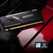 Kingston FURY 16 GB DDR4 3200 MHz Beast Black (KF432C16BB1/16WP) (UA)