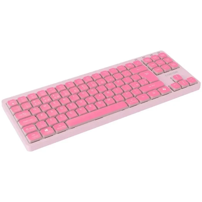 Canyon OnType 10 TKL Mechanical Silent Low-profile USB UA Pink (CNS-HKB10P) (UA) ; Призначення: для ПК;