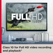 SanDisk 1 TB microSDXC UHS-I U1 V30 A2 Ultra (SDSQUAC-1T00-GN6MA) (EU)