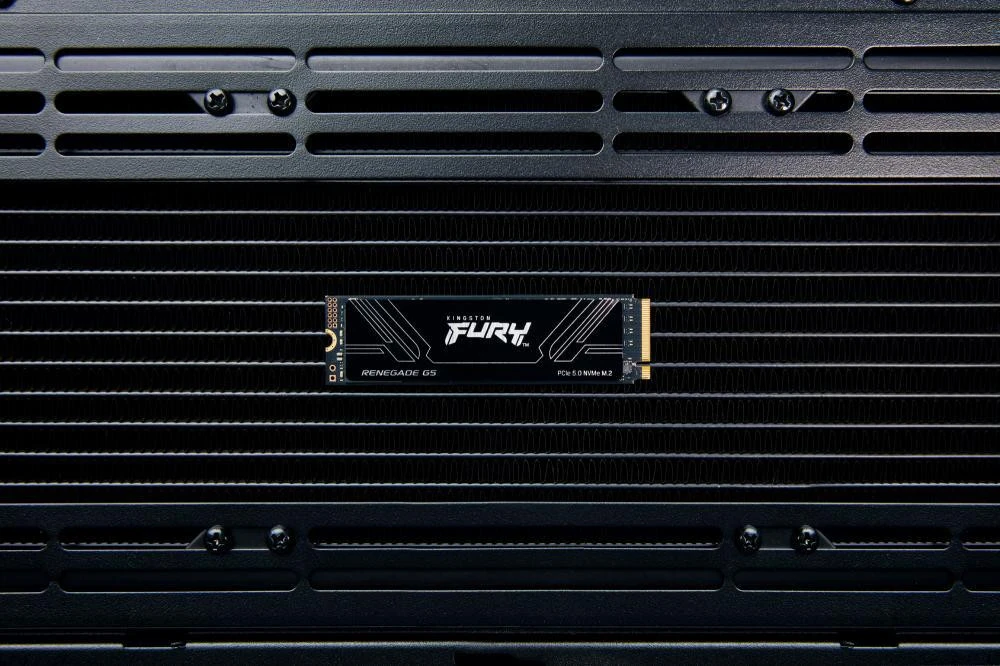 Kingston FURY Renegade G5 2 TB (SFYR2S/2T0) (EU)