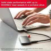 SanDisk Portable SSD 1 TB (SDSSDE30-1T00-G26) (EU)